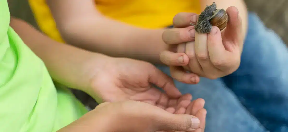 Mains d'enfants tenant délicatement un escargot